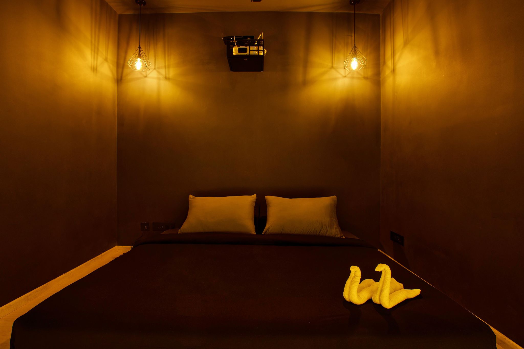 Hotel Cineplex Premium Screen with 132 inch display 2