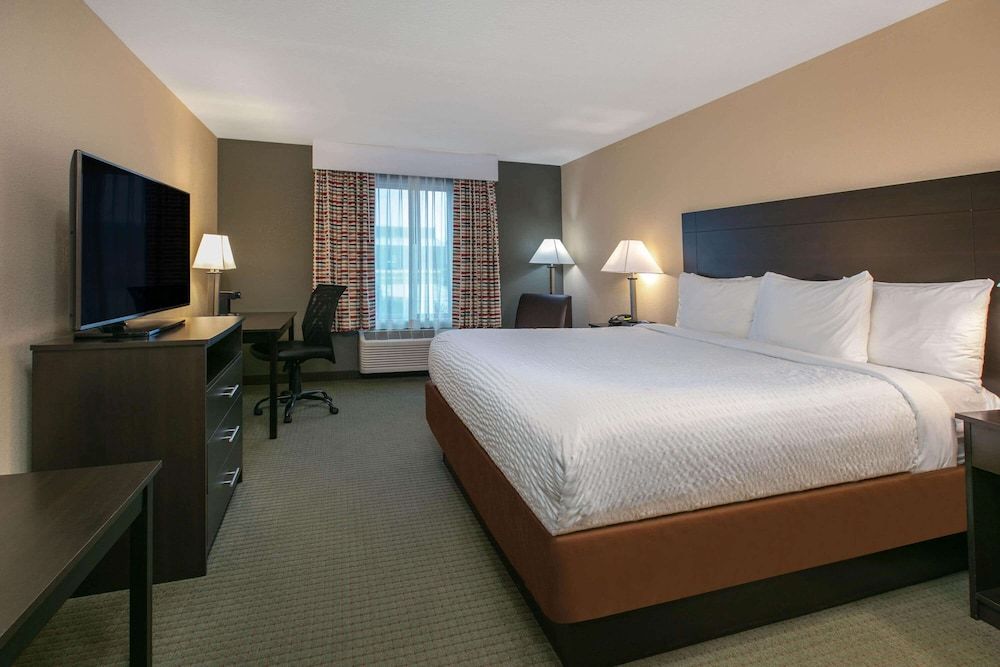 Room, 1 King Bed, Non Smoking