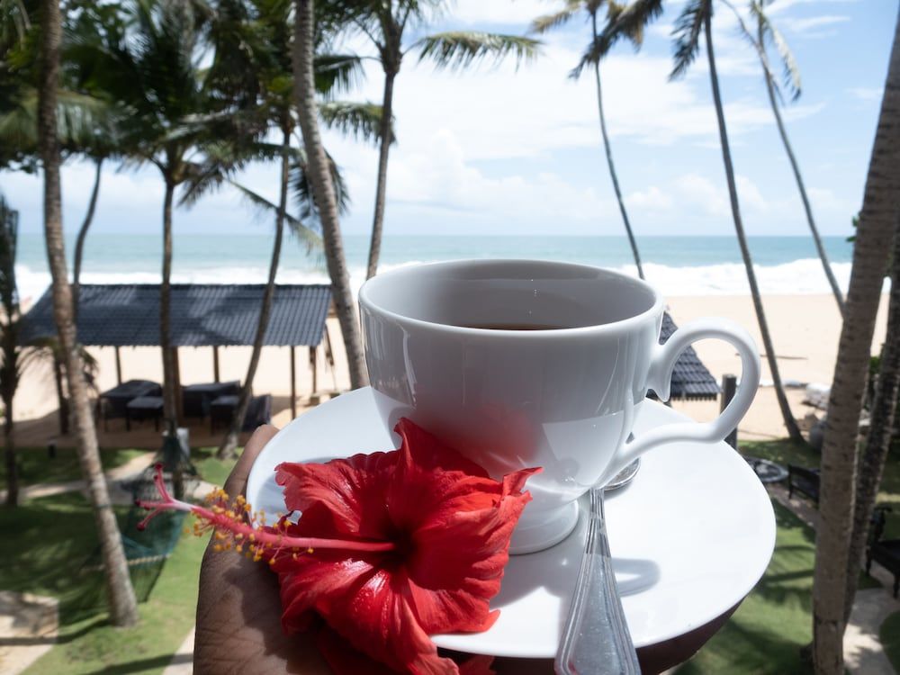 Suite Lanka Deluxe Double Room, 1 King Bed, Non Smoking 5