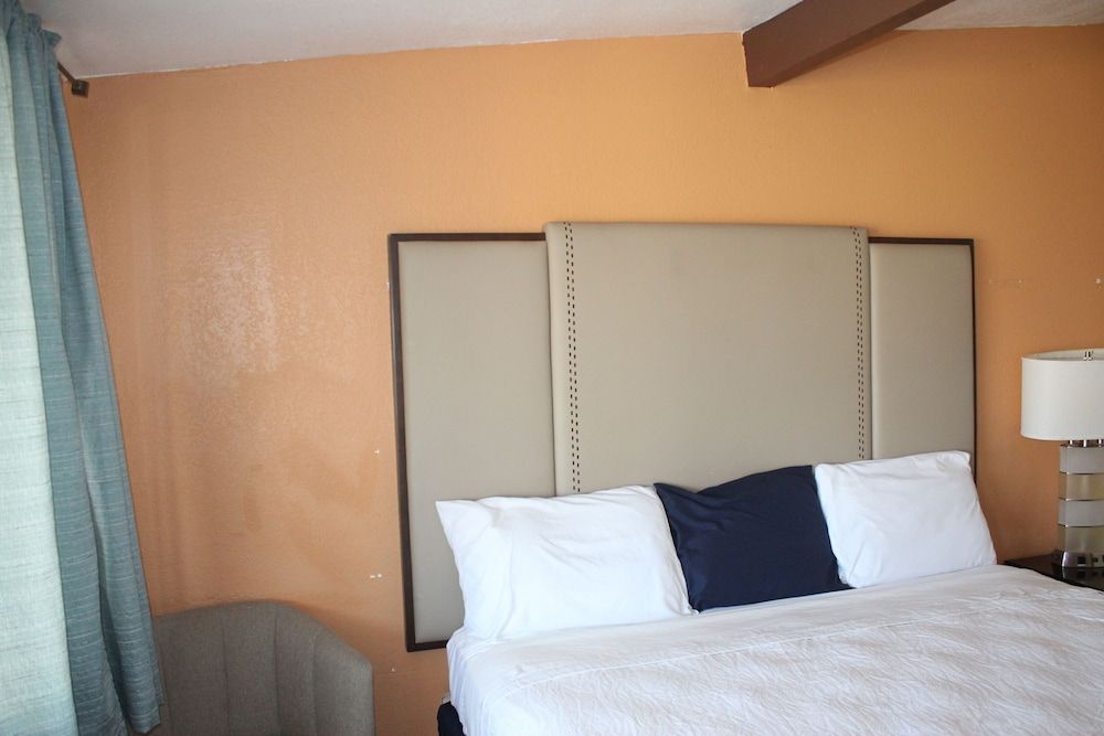 Room, 1 King Bed, Non Smoking