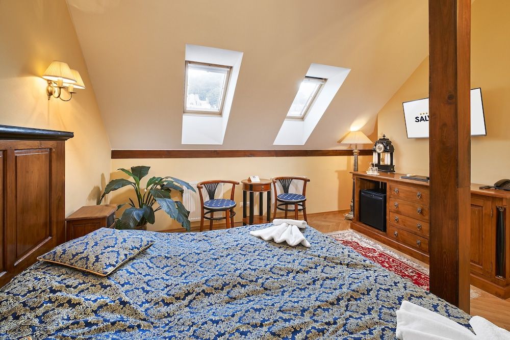 Salvator Hotel Karlovy Vary Standard Double Room 5