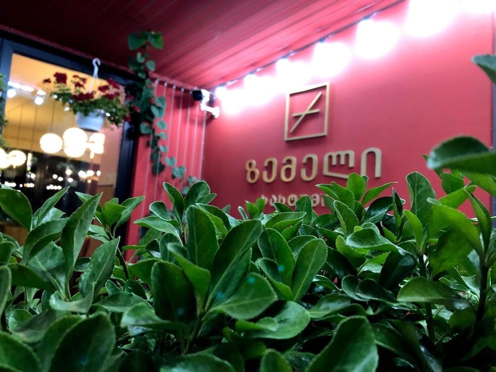 undefined Hotel Zemeli 8