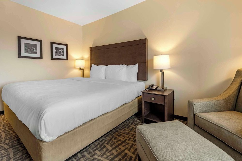 Standard Room, 1 King Bed, Non Smoking