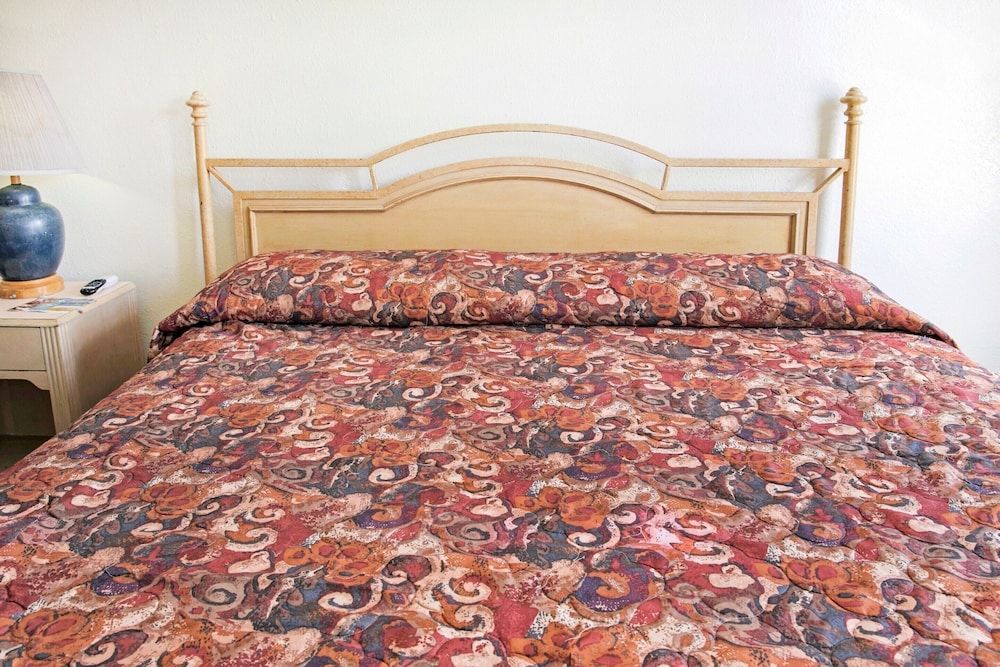 Room, 1 King Bed