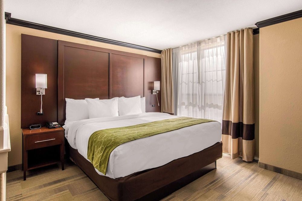 Suite, 1 King Bed with Sofa bed, Non Smoking (Efficiency)