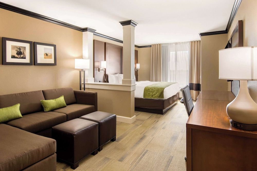 Suite King Non Smoking 1 person Sofabed