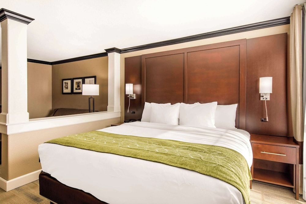 Suite, 1 King Bed with Sofa bed, Non Smoking (Efficiency)