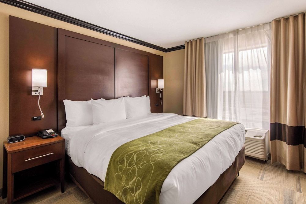 Suite King Non Smoking 1 person Sofabed