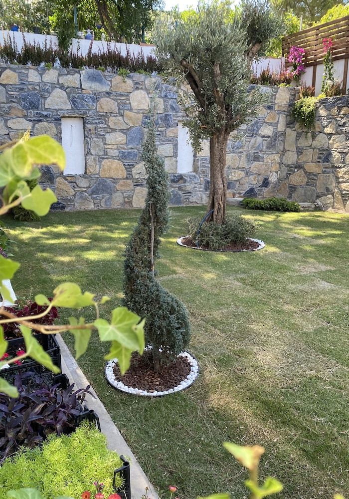 undefined Olivia Hotel 7