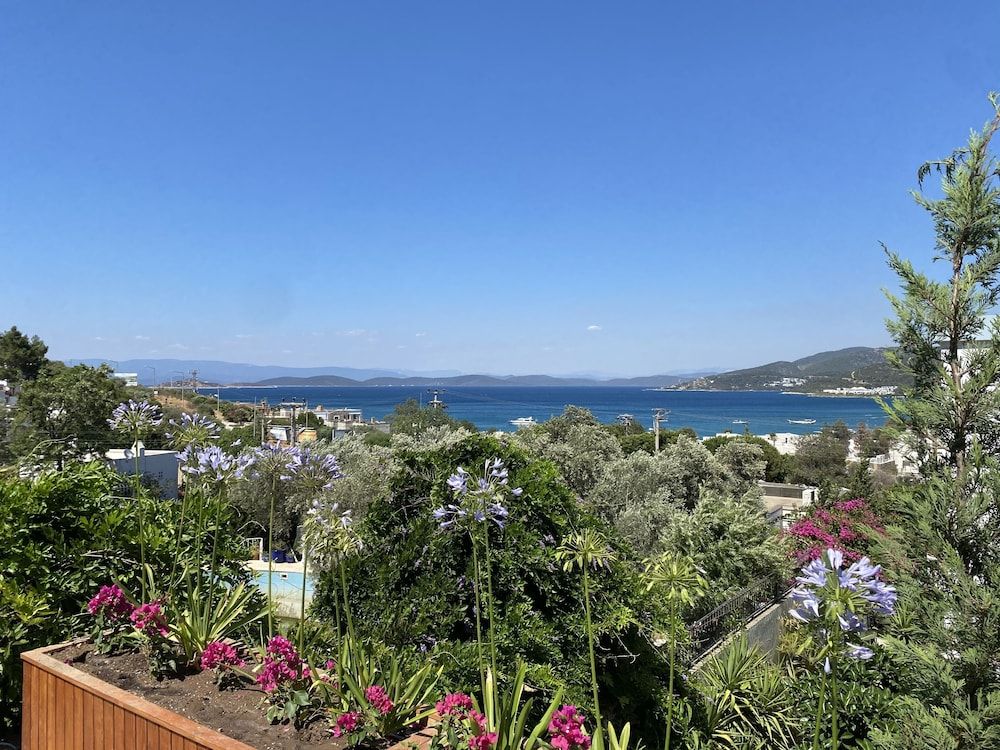 undefined Olivia Hotel 6