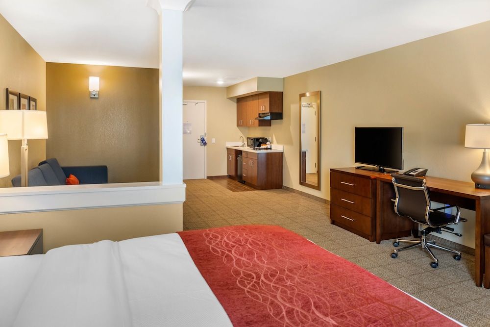 Studio Suite, 1 King Bed, Non Smoking (Efficiency)