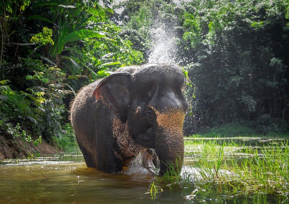 undefined Ocean View Boutique 8BR Pool Villa Sawan 7