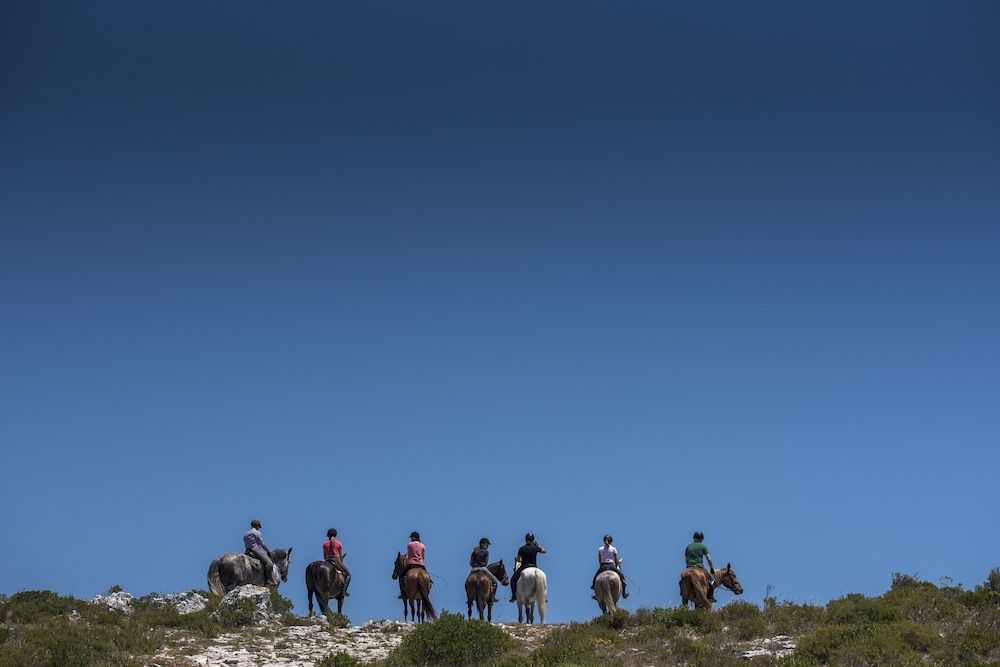 Horse Riding