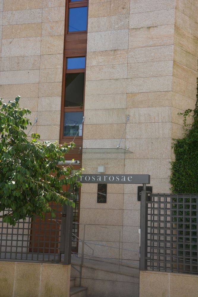 undefined Rosa Rosae PR 9