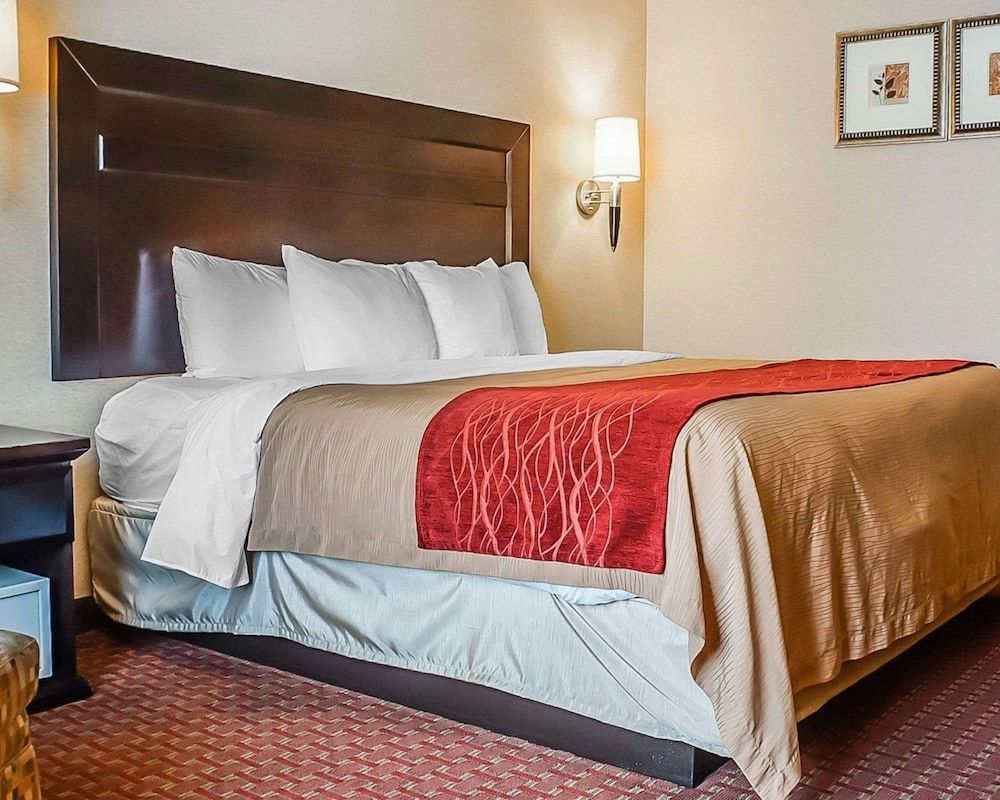 Standard Room, 1 King Bed, Non Smoking