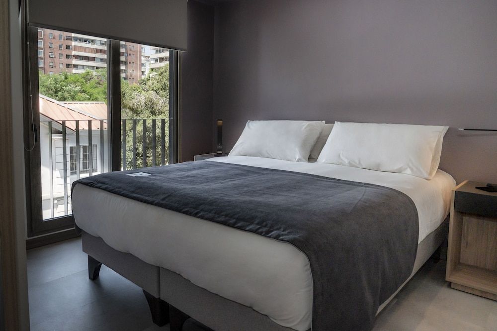 undefined Hotel Almasur Providencia 6