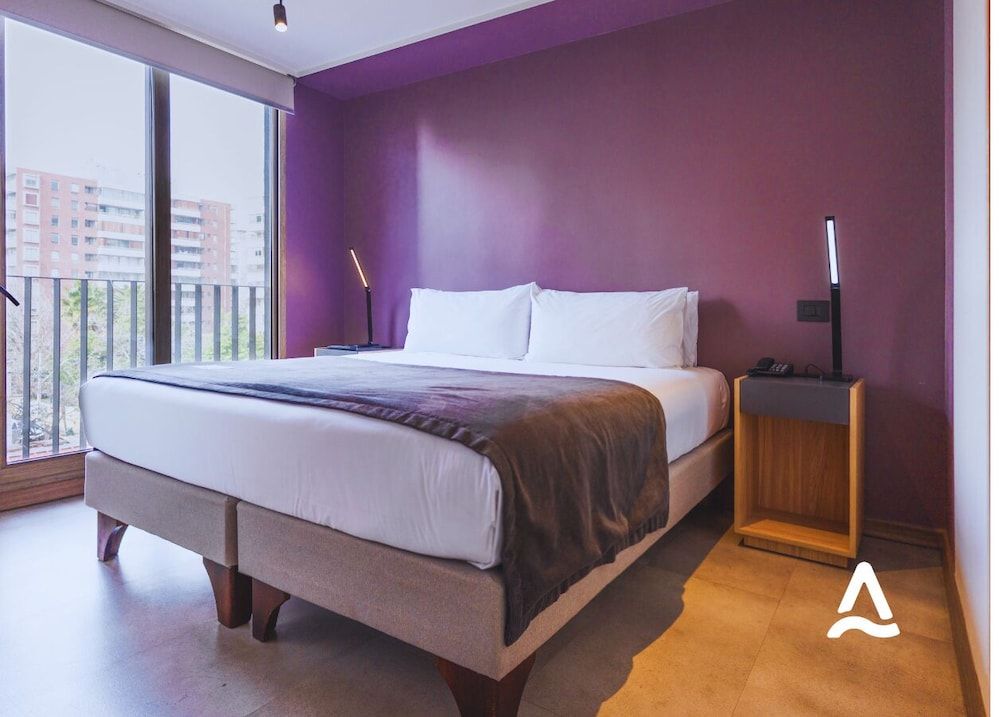 undefined Hotel Almasur Providencia 7