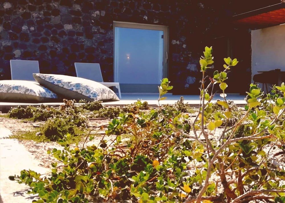 undefined Mardanza Exclusive 5