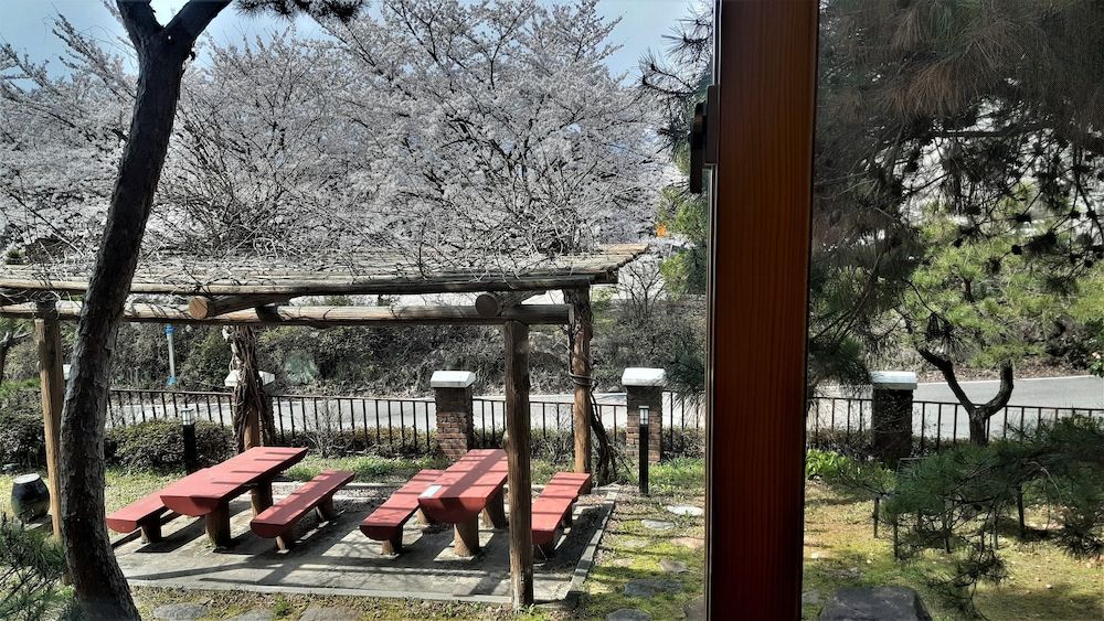 Hotel Jirisan Sunlight Basic Double Room 3