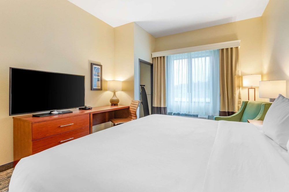 Comfort Inn & Suites West Des Moines Standard Room, 1 King Bed, Non Smoking 5