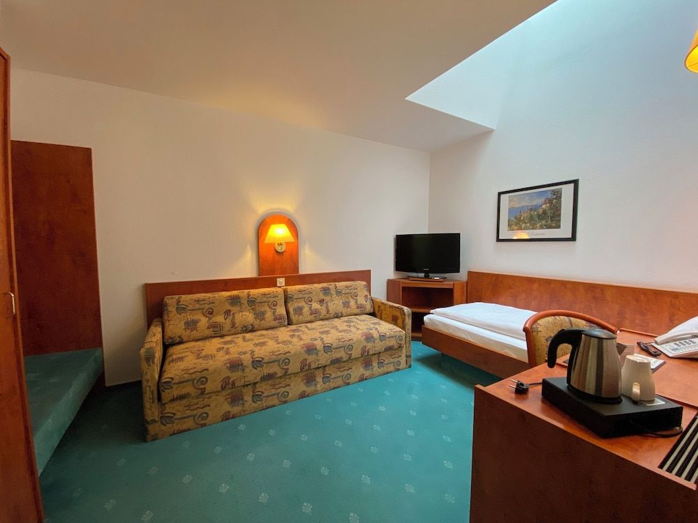 Hotel Hansa Economy Single Room 2