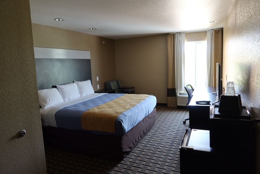 Comfort Single Room, 1 King Bed, Non Smoking