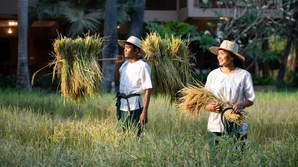 undefined Mane Family Vacation 8