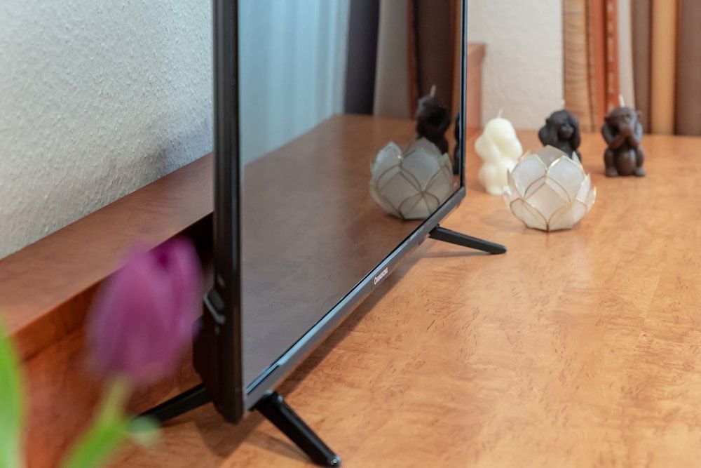 Boardinghouse Burgpark Single Room 10