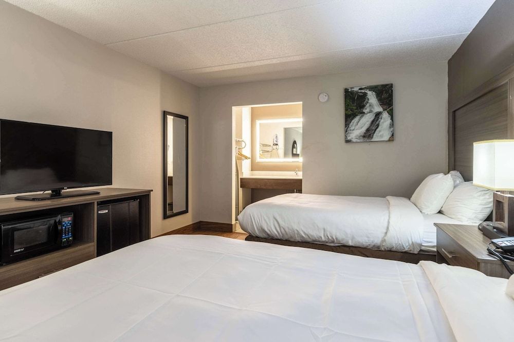 Standard Room, 2 Double Beds, Non Smoking