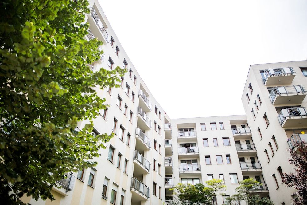 undefined Vagabond Downtown 5