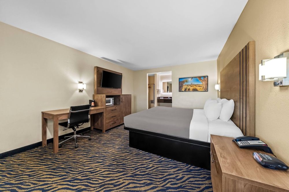 Quality Inn & Suites Standard Room, 1 King Bed, Non Smoking 2