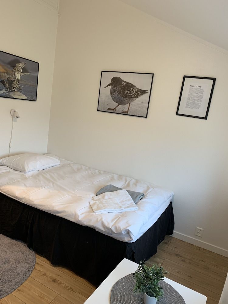 Basic Single Room, 1 Twin Bed