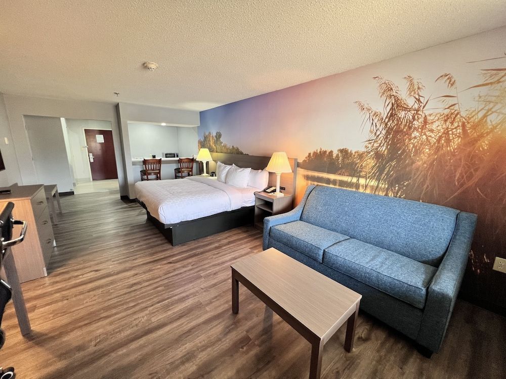 Standard Room, 1 King Bed with Sofa bed, Balcony, Lake View (Non Smoking)