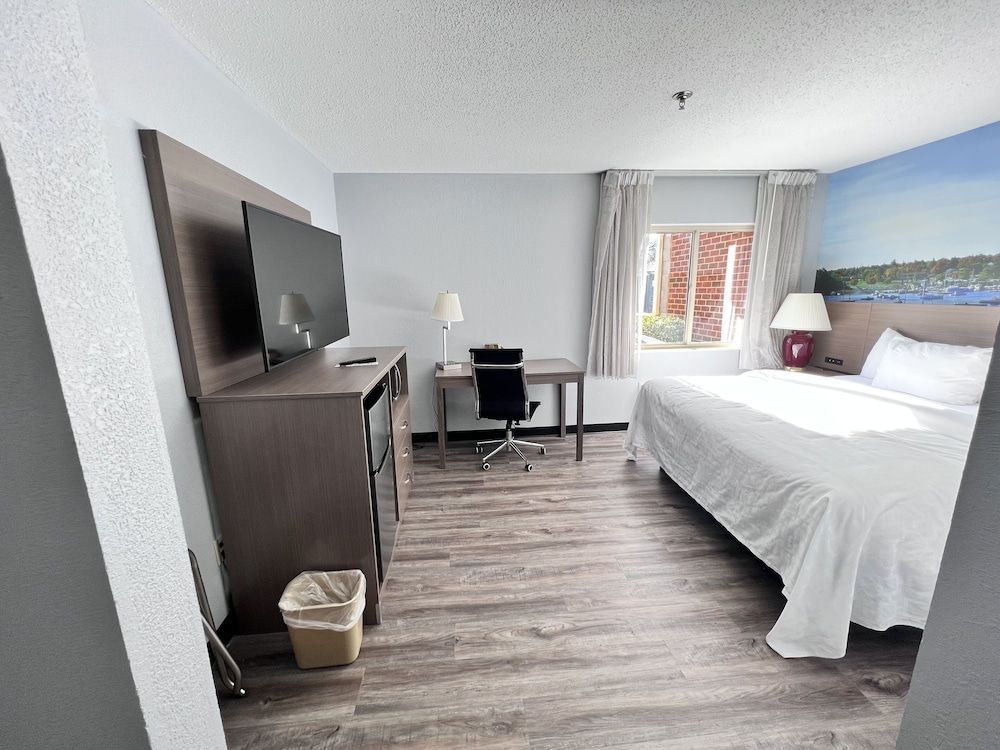 Standard Room, 1 King Bed, Non Smoking