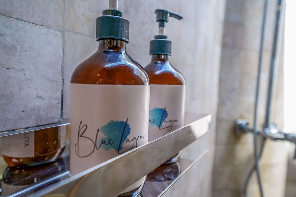 Blue Lagoon Avia Villas One Bedroom Villa Madudu Ocean View with Private Pool 14