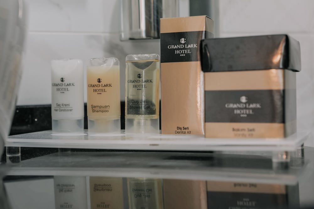 Grand Lark Otel Standard Room, City View 10