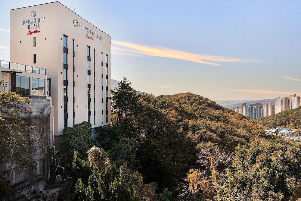 undefined Brown-dot Hotel Signature 5