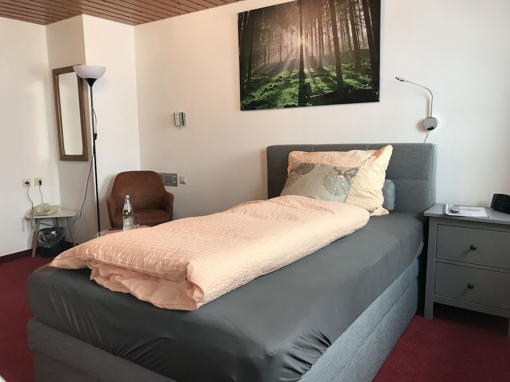 Hotel Zartenbach B&B Single Room