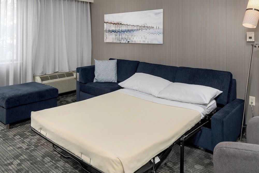Room, 1 King Bed with Sofa bed (Mobility/Hearing Access, Roll-In Shwr)