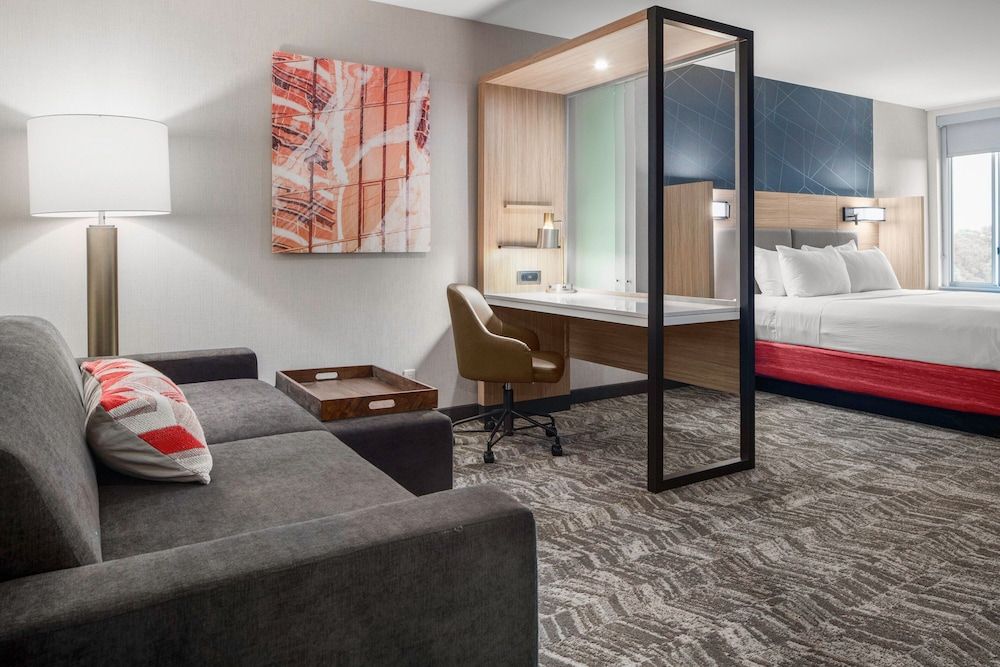 Suite, 1 King Bed, Non Smoking (Mobility Accessible, Roll-in Shower)