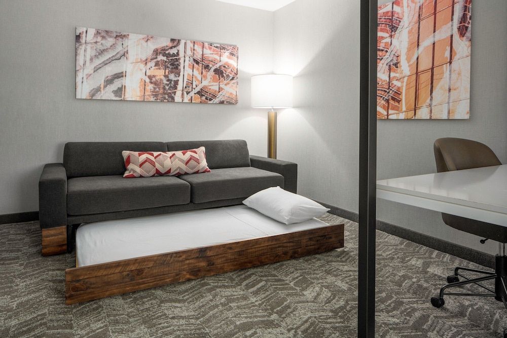 Suite, 1 King Bed, Non Smoking (Mobility Accessible, Roll-in Shower)