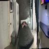 hotel_images