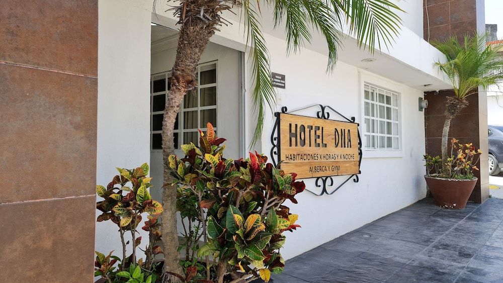 undefined Hotel DNA Cancun 4