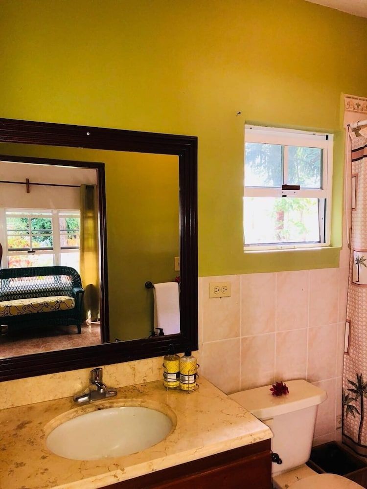 Kiki Witz Comfort Cabin, 1 King Bed with Sofa bed, Kitchenette, Pool View 4