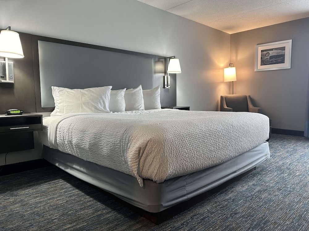 Standard Room, 1 King Bed, Non Smoking, Refrigerator & Microwave