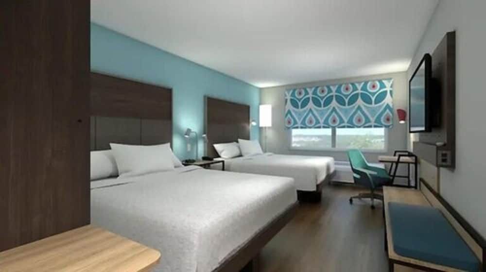 Studio, 2 Queen Beds