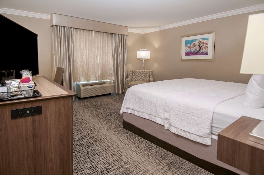Room, 1 King Bed, Accessible, Bathtub (Hearing)