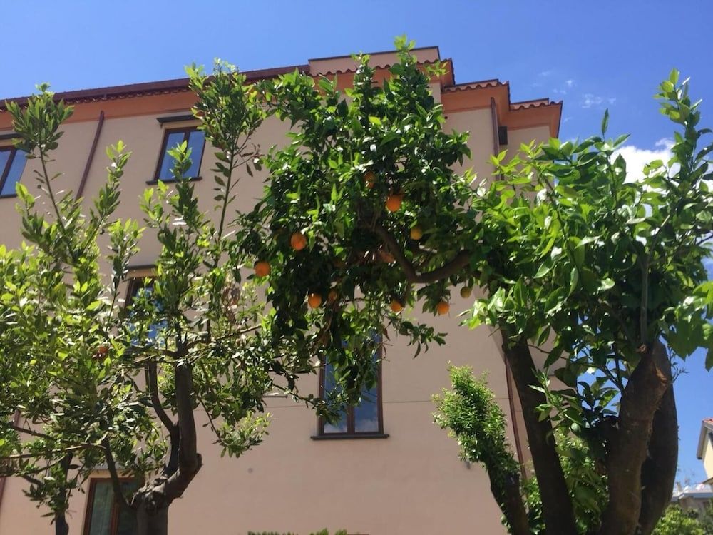 undefined Sorrento Bay 7