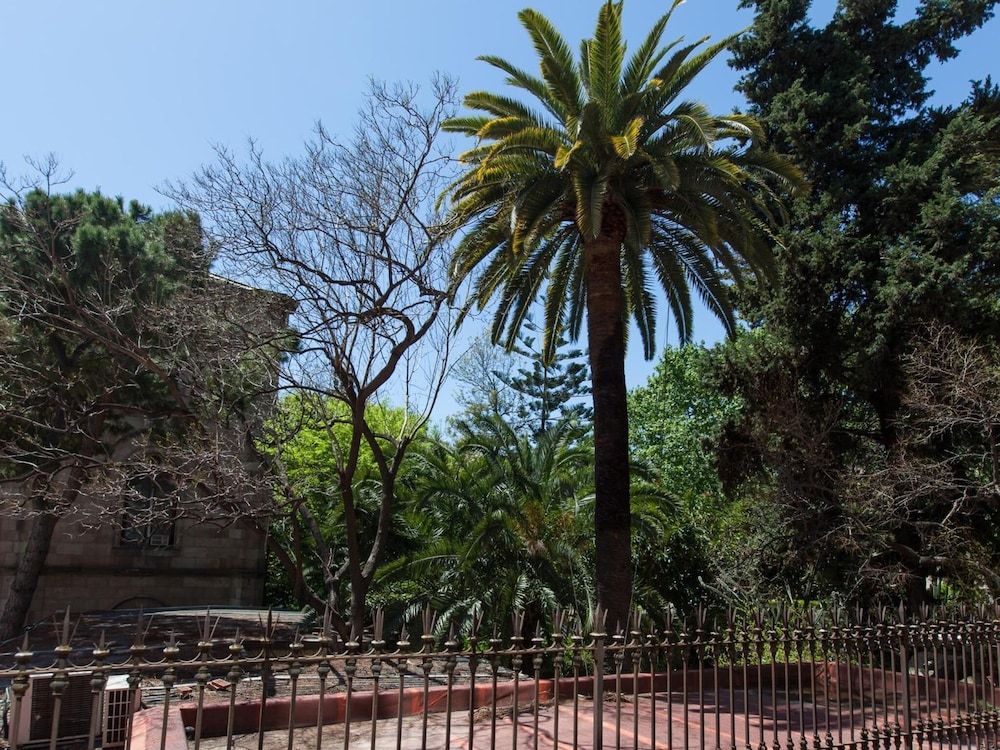 undefined Ecozentric 6