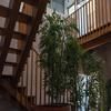 Flag Hotel Barcelos